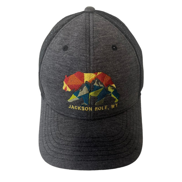 Blue Jackson Hole Wy Bear Patchwork Baseball Style Cap Snapback Strap Cap Hat - Picture 1 of 4